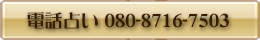 電話占い 03-6364-0671